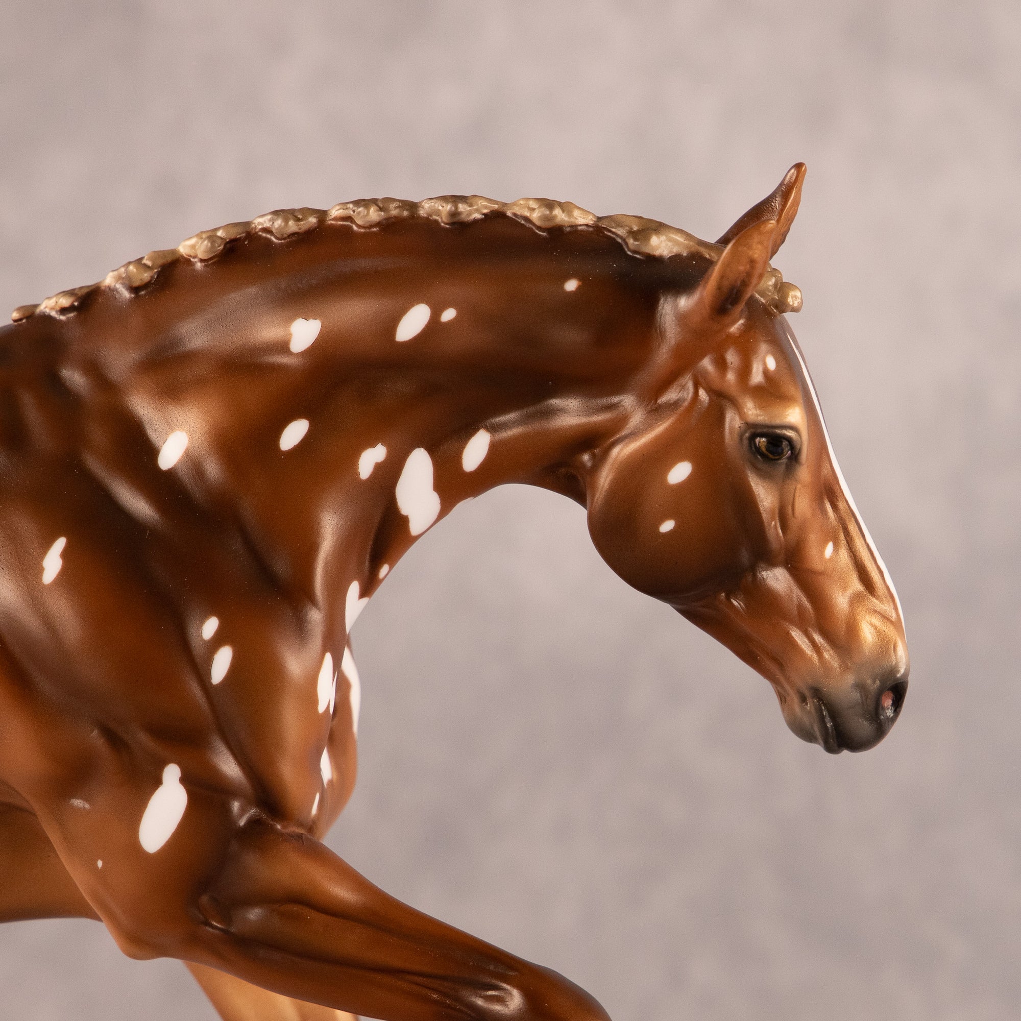 Trade Winds OOAK EFCM Volo by Ashley Palmer EQ26