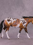 "Callidora" OOAK FCM Mule by Dawn Quick EQ25