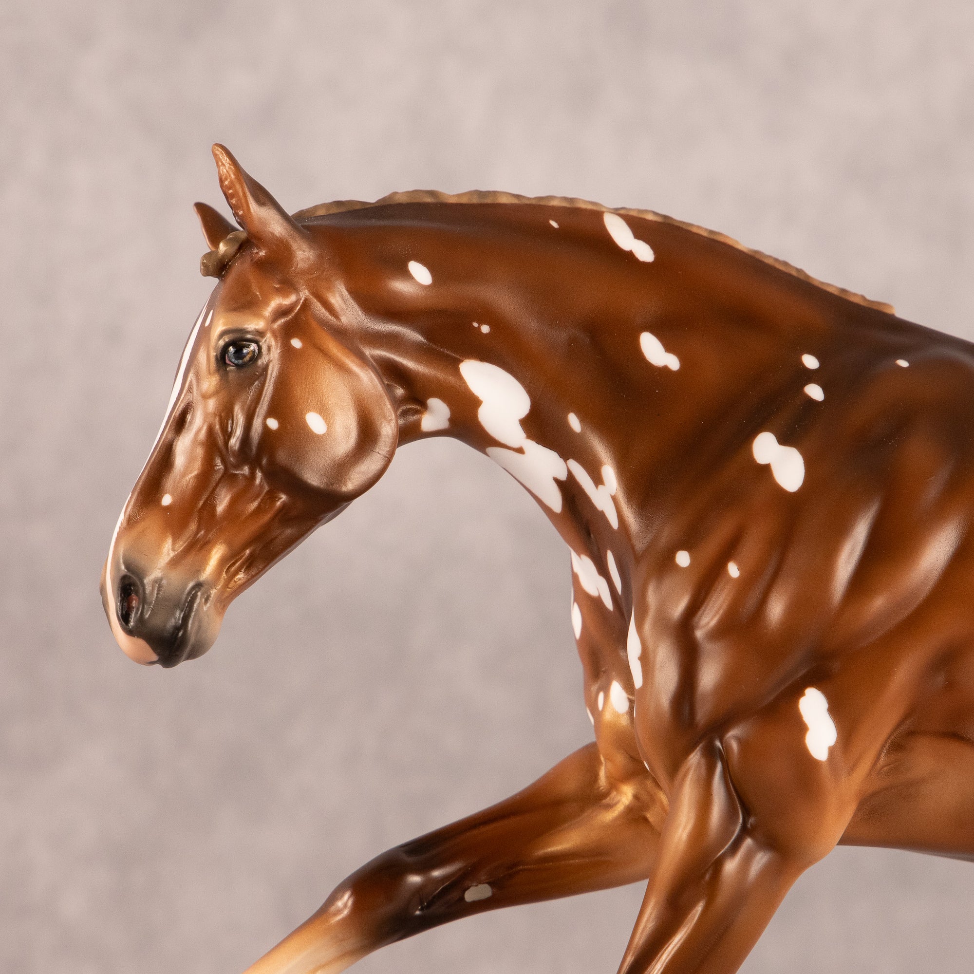 Trade Winds OOAK EFCM Volo by Ashley Palmer EQ26