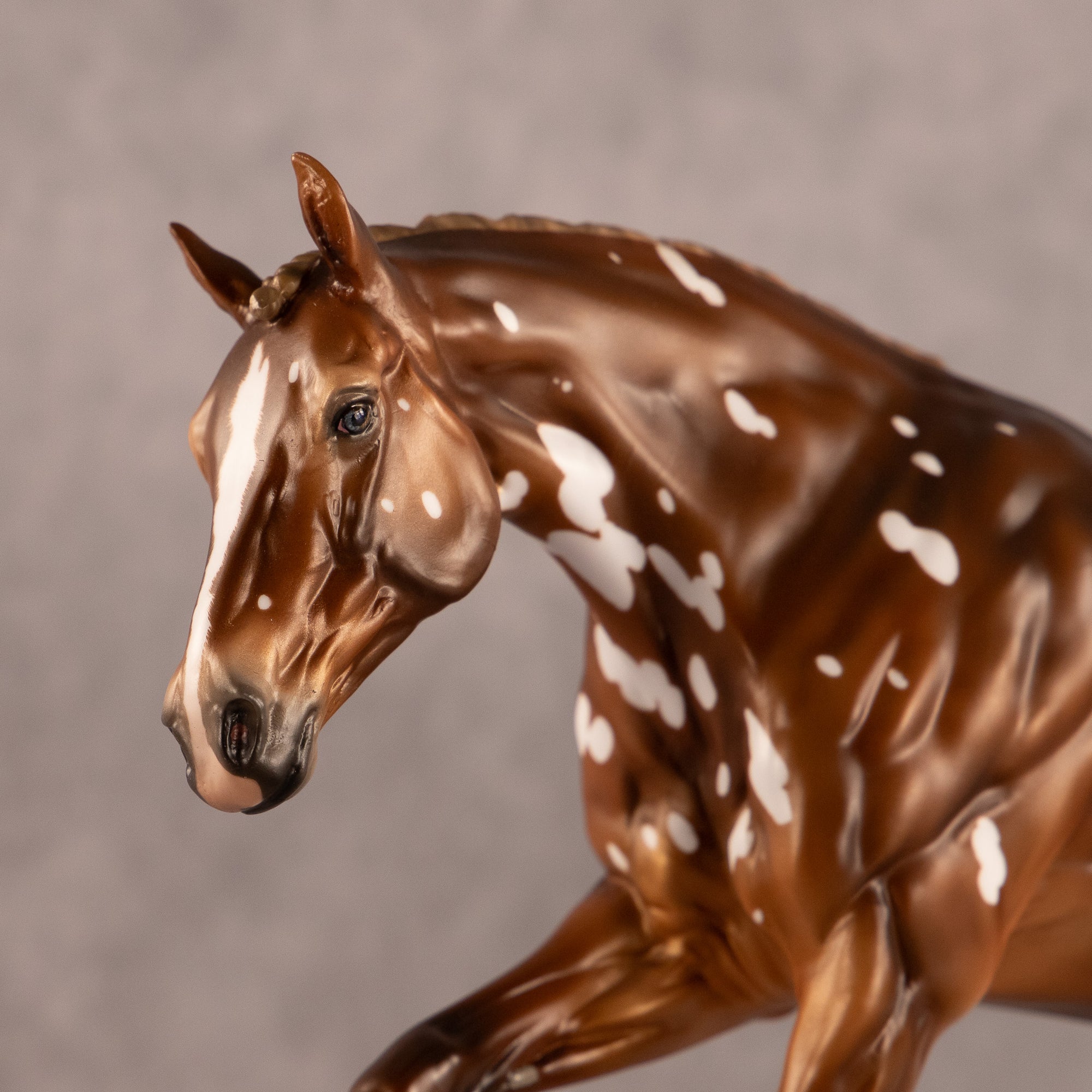 Trade Winds OOAK EFCM Volo by Ashley Palmer EQ26