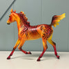 Standout OOAK Deco Orange Zebra Appy Yearling By Dawn Quick EQ24