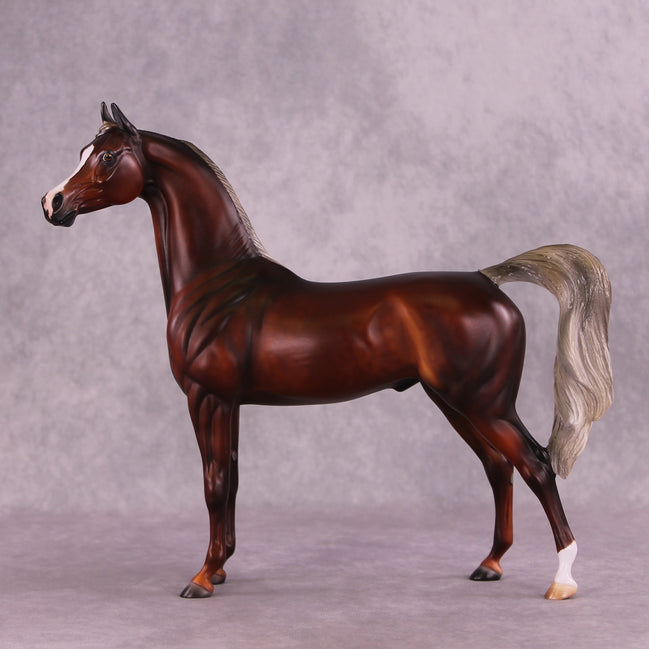 2025 NAMHSA Judging & Showing Clinic Donation - OOAK Arabian Stallion by Julie Keim
