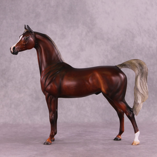 2025 NAMHSA Judging & Showing Clinic Donation - OOAK Arabian Stallion by Julie Keim