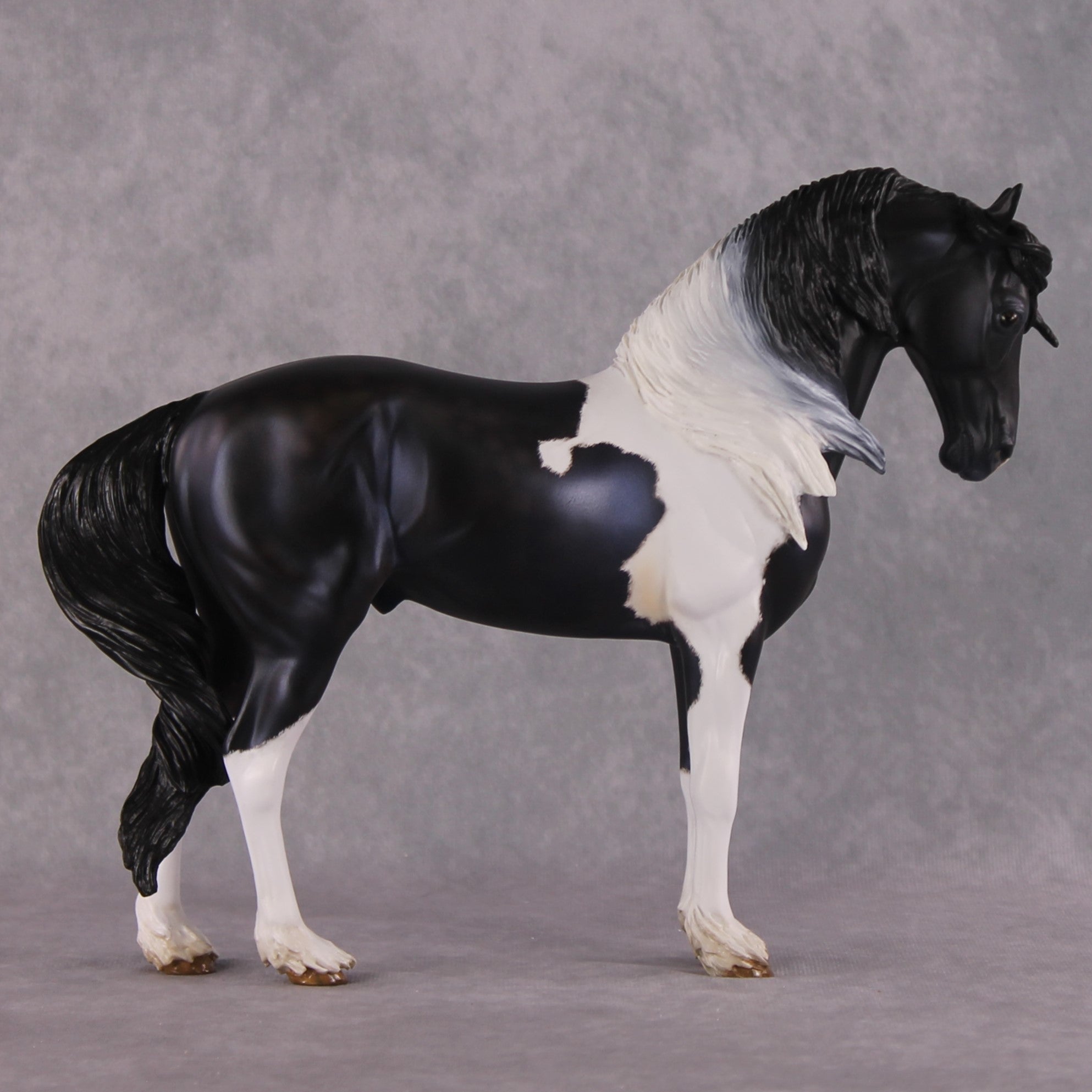 "Quaestio" OOAK FCM Andalusian By Kristen Cermele - April GemStones Series