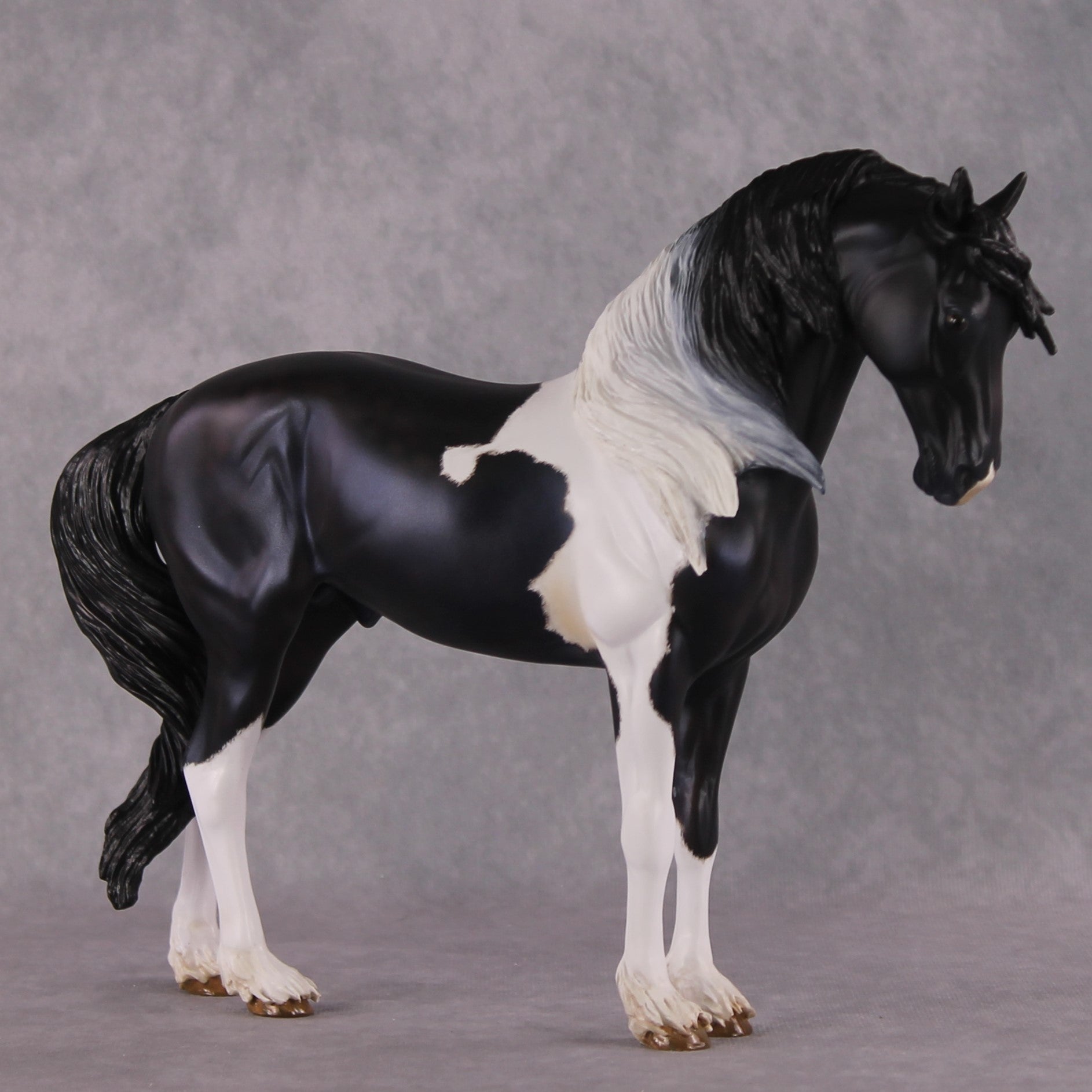 "Quaestio" OOAK FCM Andalusian By Kristen Cermele - April GemStones Series