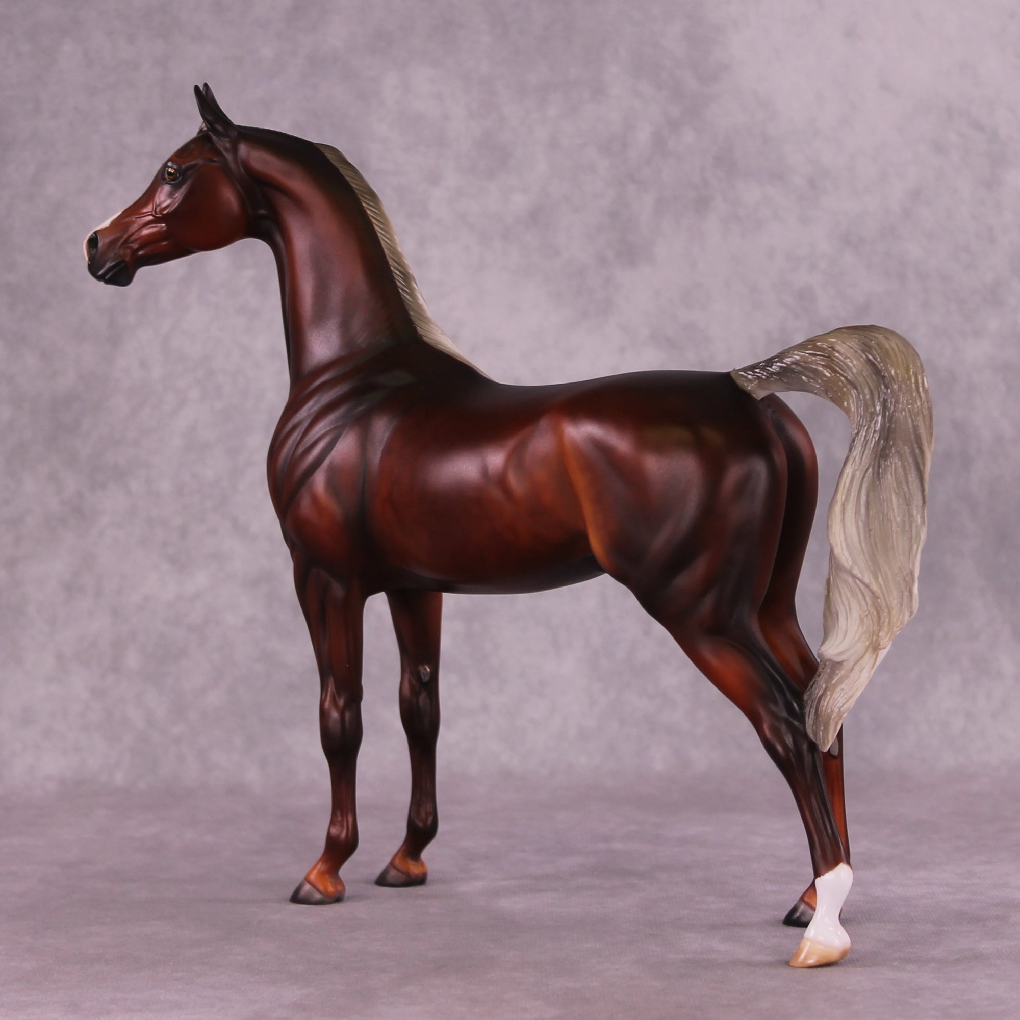 2025 NAMHSA Judging &amp; Showing Clinic Donation - OOAK Arabian Stallion by Julie Keim