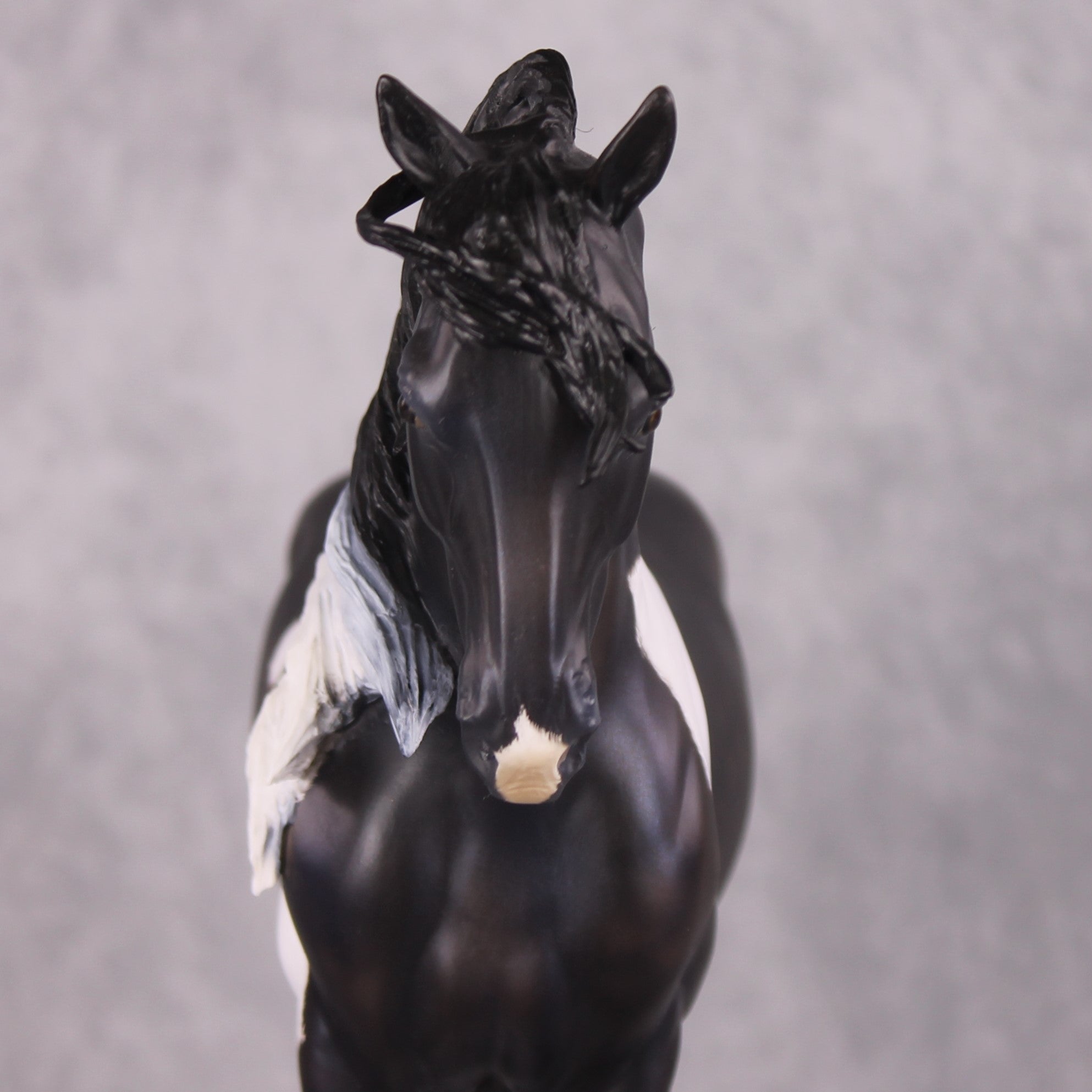 "Quaestio" OOAK FCM Andalusian By Kristen Cermele - April GemStones Series