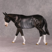 Truffle OOAK Bay Rabicano Mule By Angela Marleau HS24