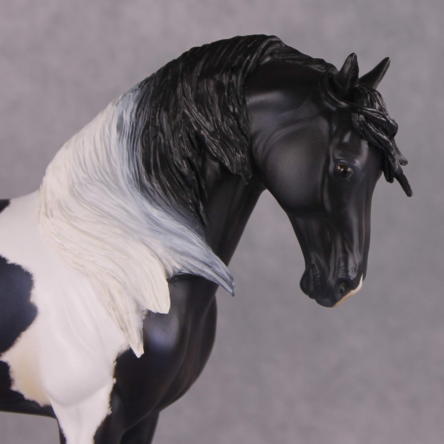 "Quaestio" OOAK FCM Andalusian By Kristen Cermele - April GemStones Series