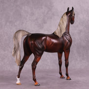 2025 NAMHSA Judging & Showing Clinic Donation - OOAK Arabian Stallion by Julie Keim
