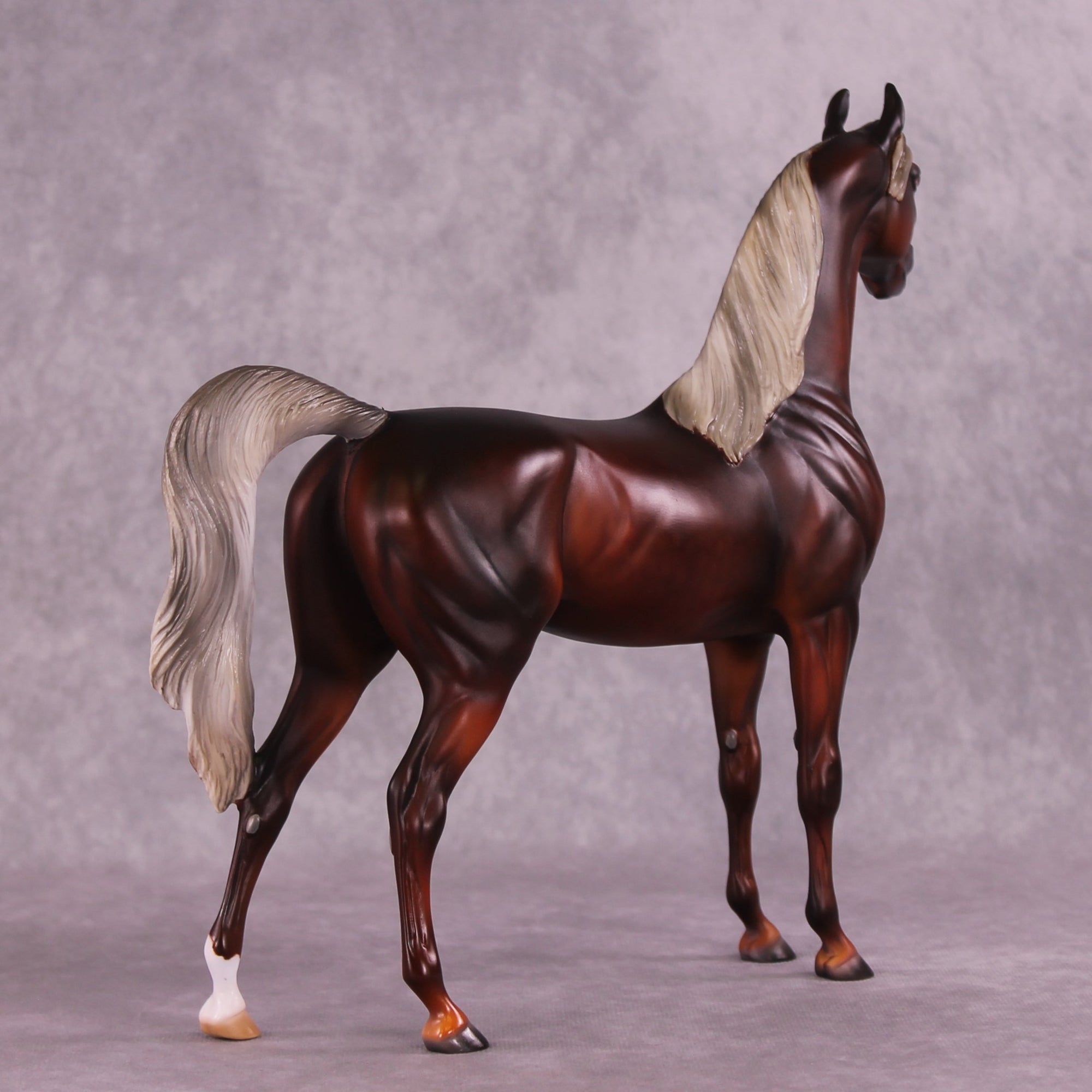 2025 NAMHSA Judging &amp; Showing Clinic Donation - OOAK Arabian Stallion by Julie Keim