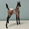 Mimi OOAK Bay Roan with Snowcap Blanket Arab Foal By Ashley Palmer EQ24