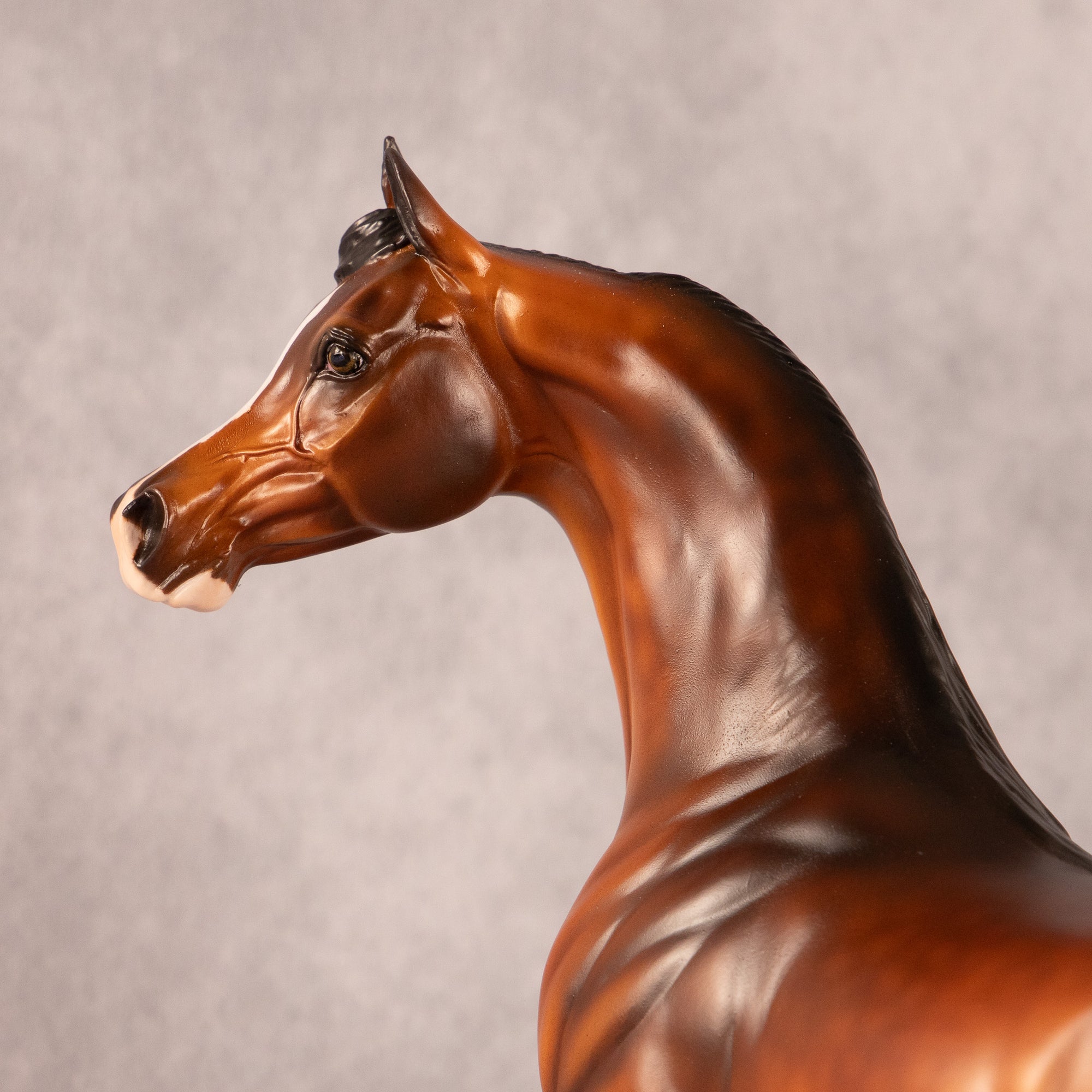 One More Time OOAK EFCM Arabian Stallion by Melanie Miller EQ26