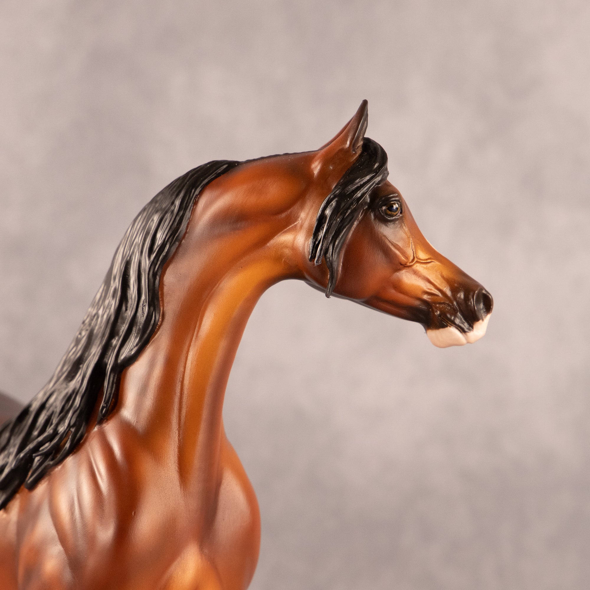 One More Time OOAK EFCM Arabian Stallion by Melanie Miller EQ26