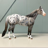 Field Mouse OOAK Grey Appaloosa ISH By Dawn Quick EQ24