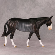 Truffle OOAK Bay Rabicano Mule By Angela Marleau HS24