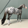 Field Mouse OOAK Grey Appaloosa ISH By Dawn Quick EQ24