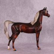 2025 NAMHSA Judging & Showing Clinic Donation - OOAK Arabian Stallion by Julie Keim