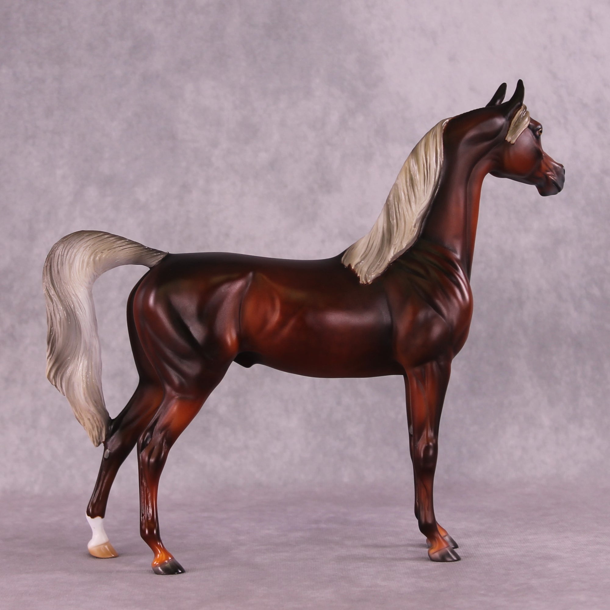 2025 NAMHSA Judging &amp; Showing Clinic Donation - OOAK Arabian Stallion by Julie Keim