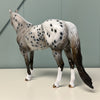 Field Mouse OOAK Grey Appaloosa ISH By Dawn Quick EQ24