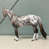 Field Mouse OOAK Grey Appaloosa ISH By Dawn Quick EQ24