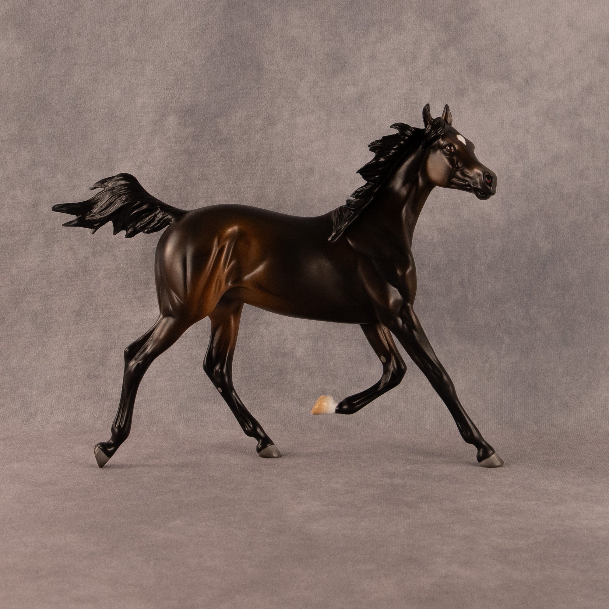 Midnight Tide OOAK FCM Arabian Yearling by Ashley Palmer EQ26