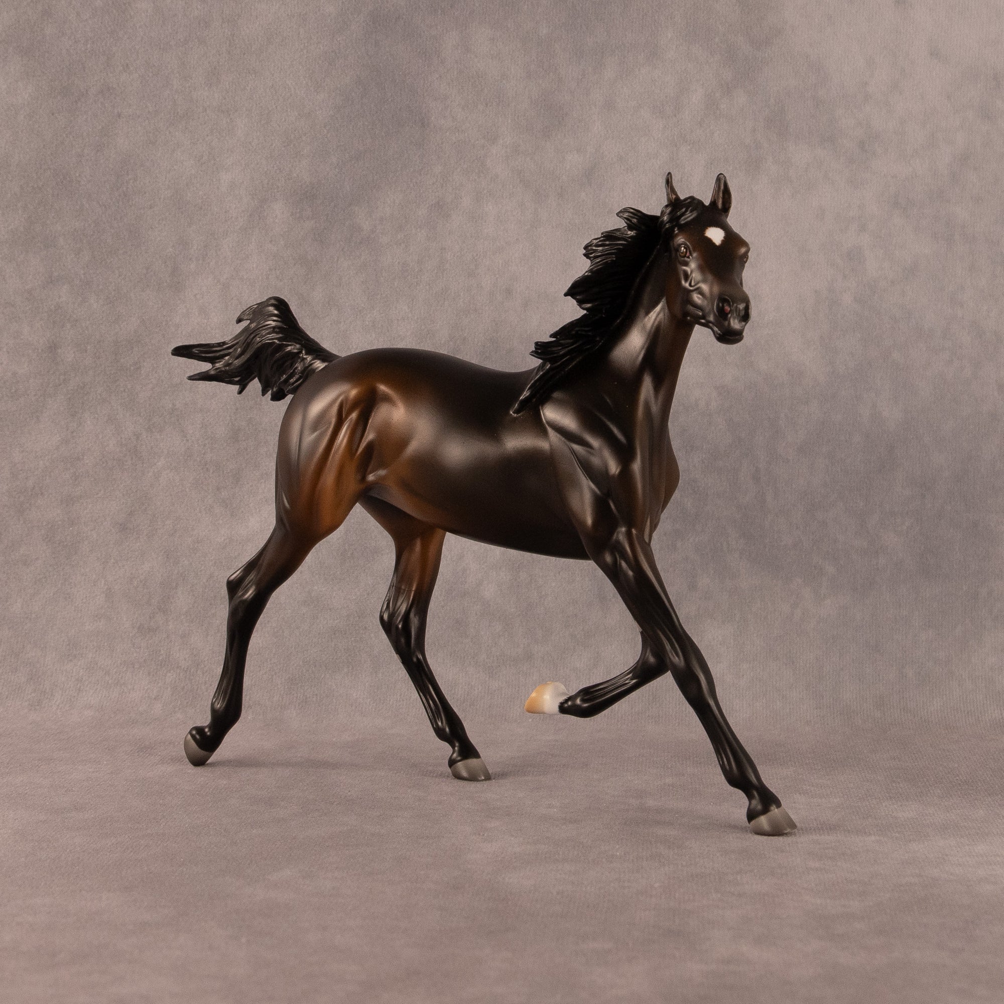 Midnight Tide OOAK FCM Arabian Yearling by Ashley Palmer EQ26