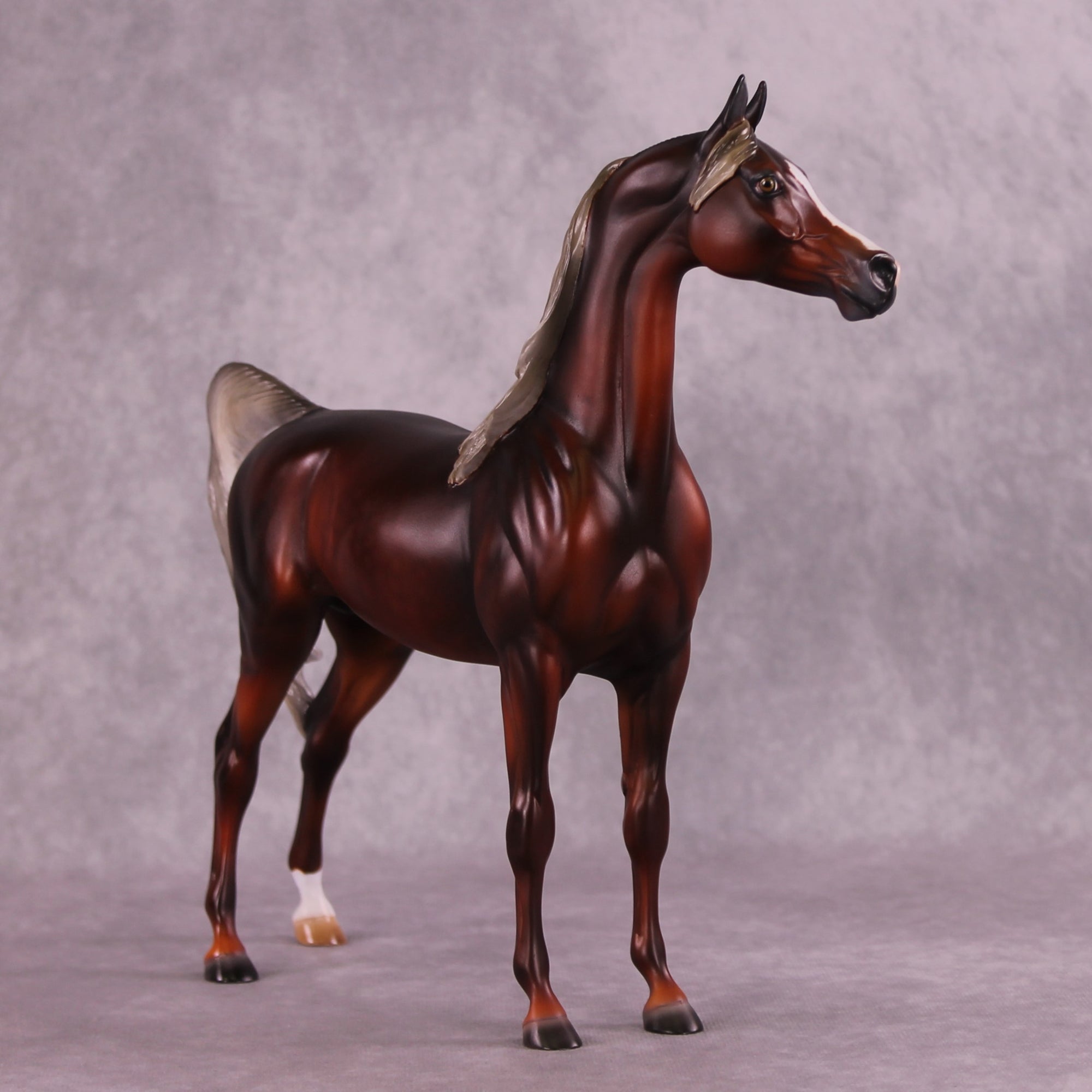 2025 NAMHSA Judging &amp; Showing Clinic Donation - OOAK Arabian Stallion by Julie Keim