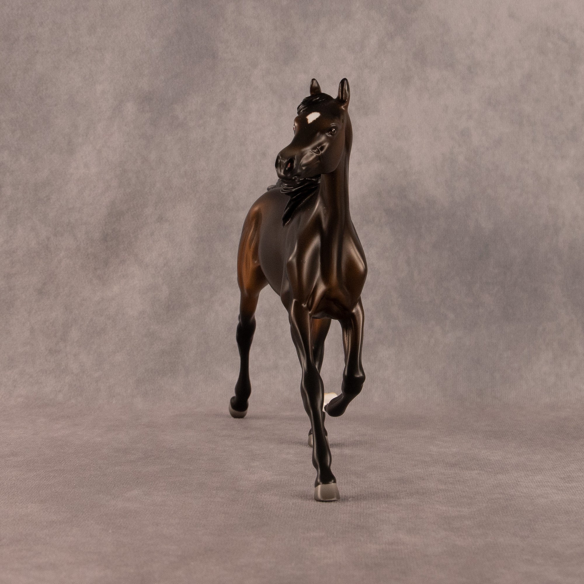 Midnight Tide OOAK FCM Arabian Yearling by Ashley Palmer EQ26