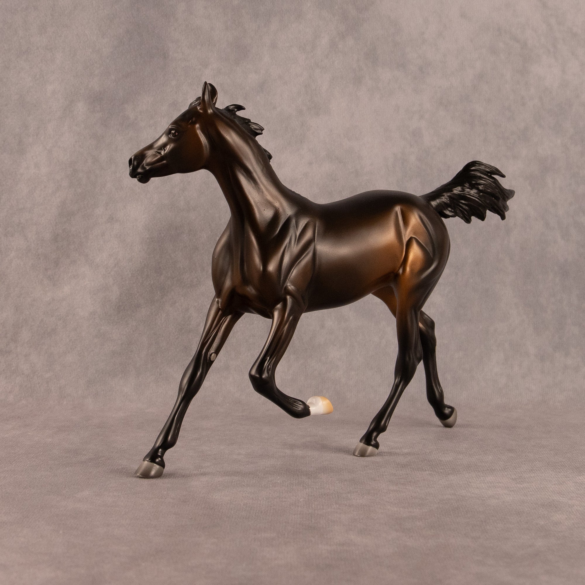 Midnight Tide OOAK FCM Arabian Yearling by Ashley Palmer EQ26