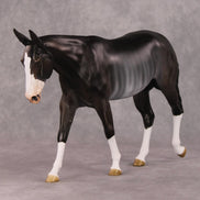 Truffle OOAK Bay Rabicano Mule By Angela Marleau HS24
