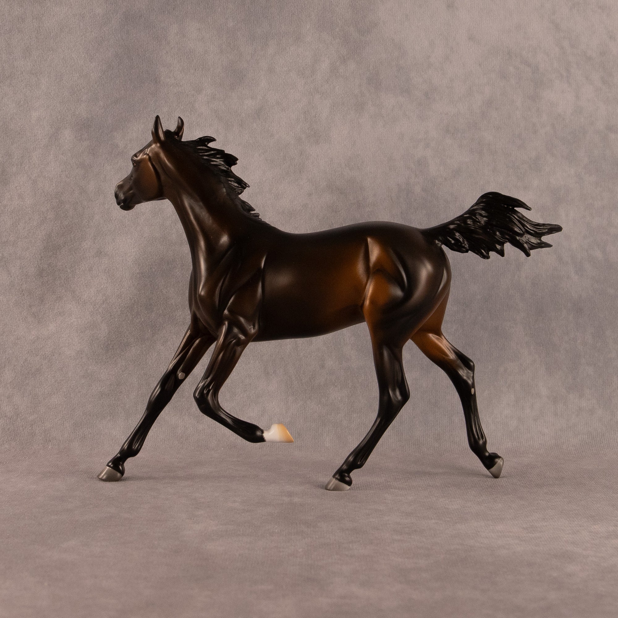 Midnight Tide OOAK FCM Arabian Yearling by Ashley Palmer EQ26