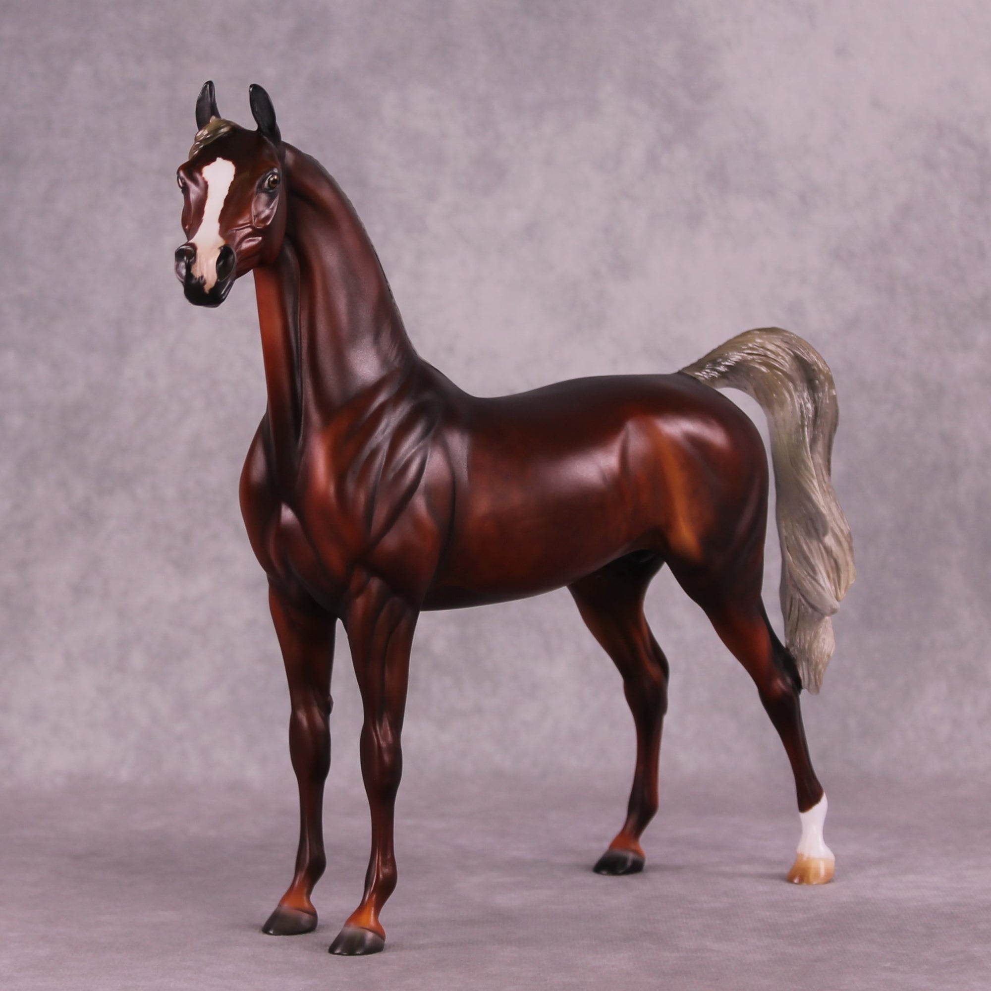2025 NAMHSA Judging &amp; Showing Clinic Donation - OOAK Arabian Stallion by Julie Keim