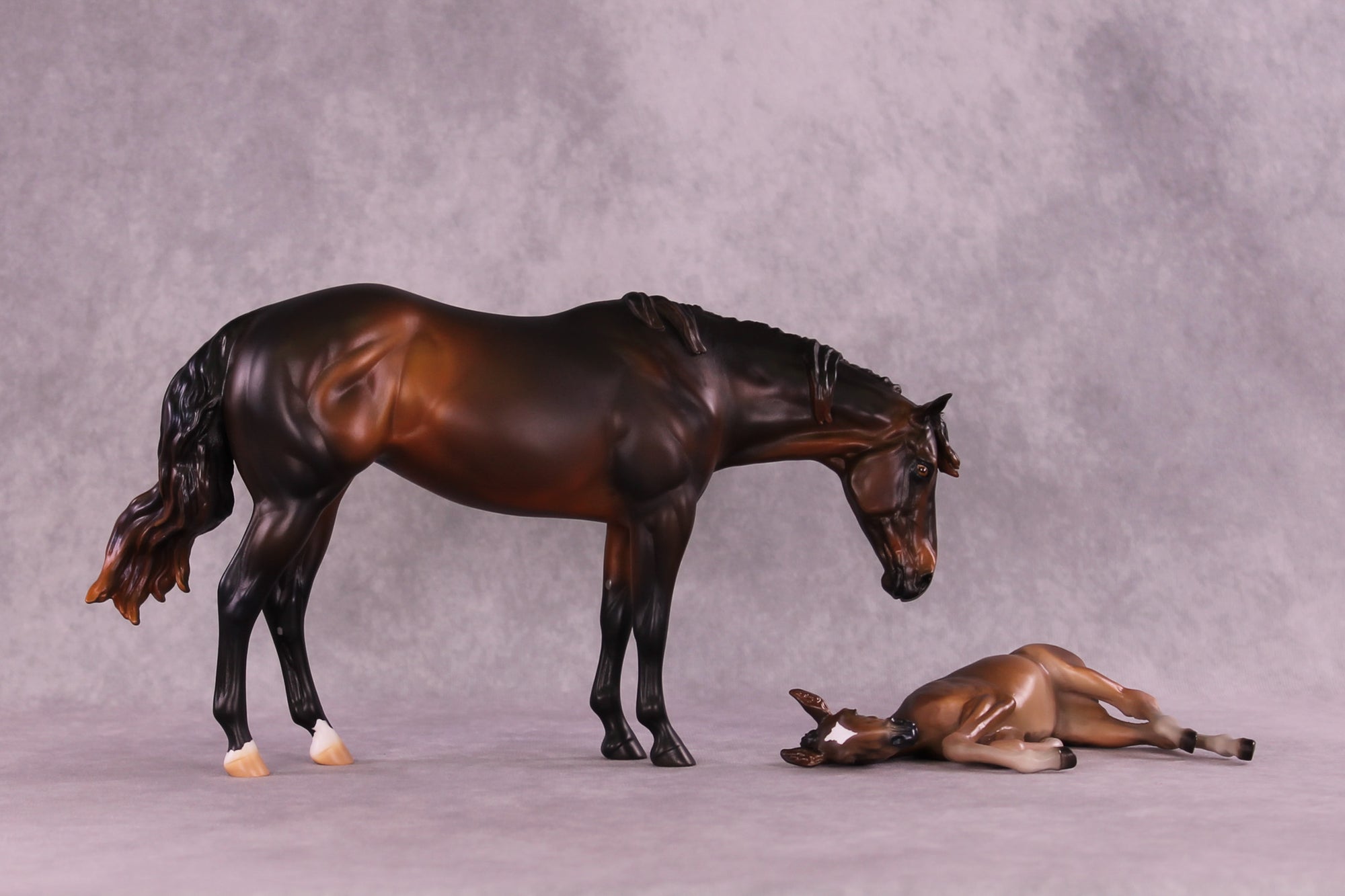 Isabella OOAK EFCM Ideal Stock Horse by Erika Isbell SS925