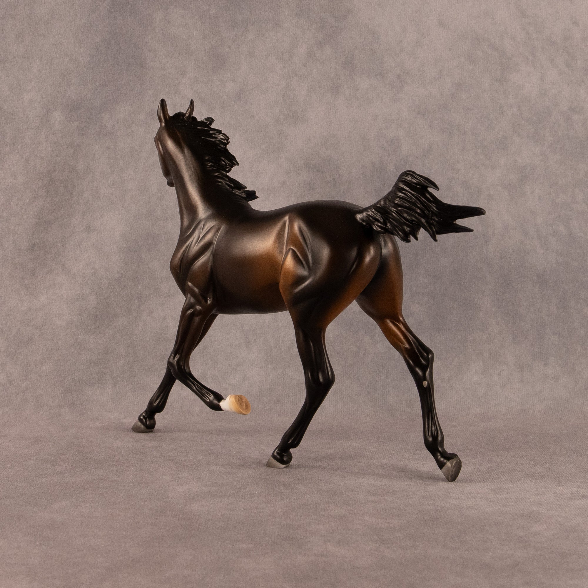 Midnight Tide OOAK FCM Arabian Yearling by Ashley Palmer EQ26