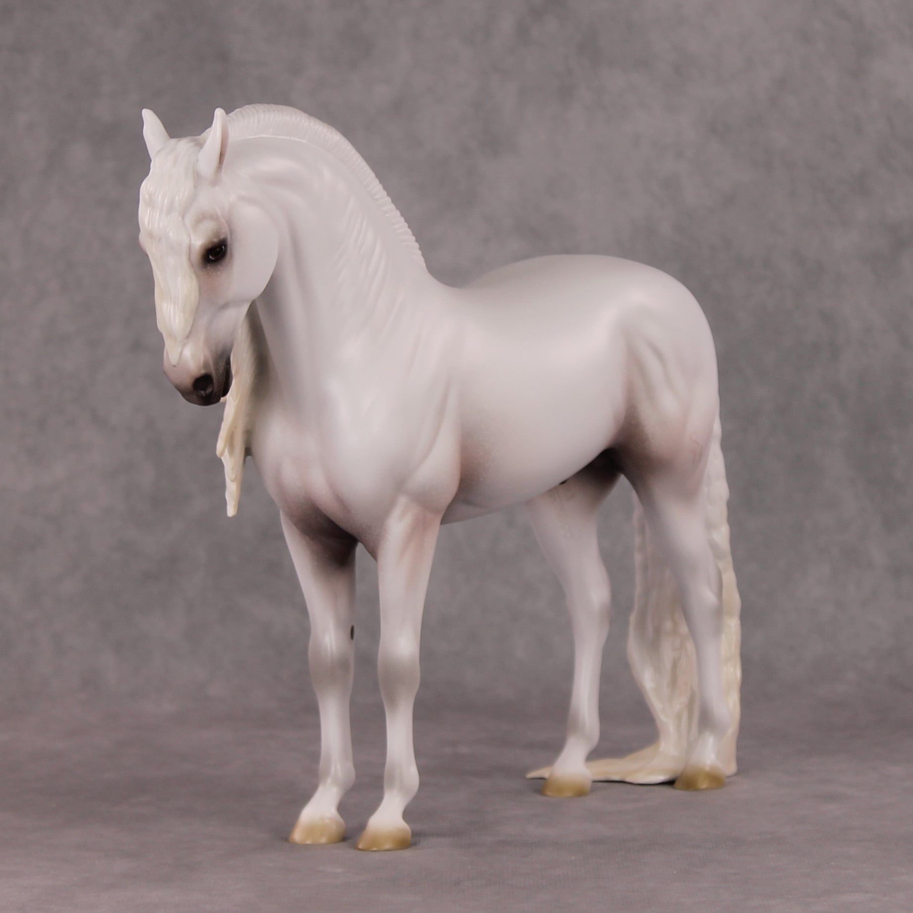 Timeless  OOAK Grey with Mottling Andalusian By Ashley Palmer HS24
