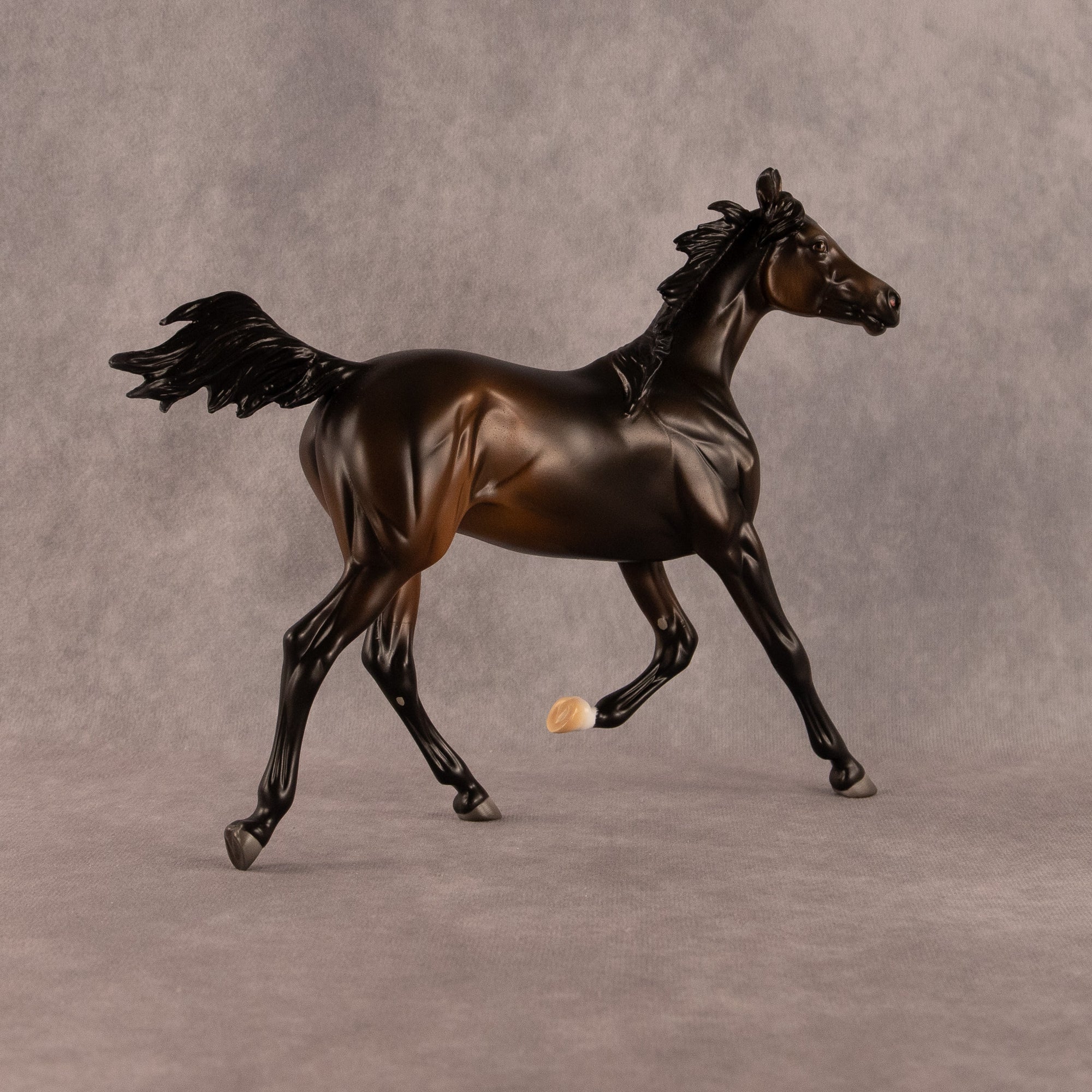 Midnight Tide OOAK FCM Arabian Yearling by Ashley Palmer EQ26