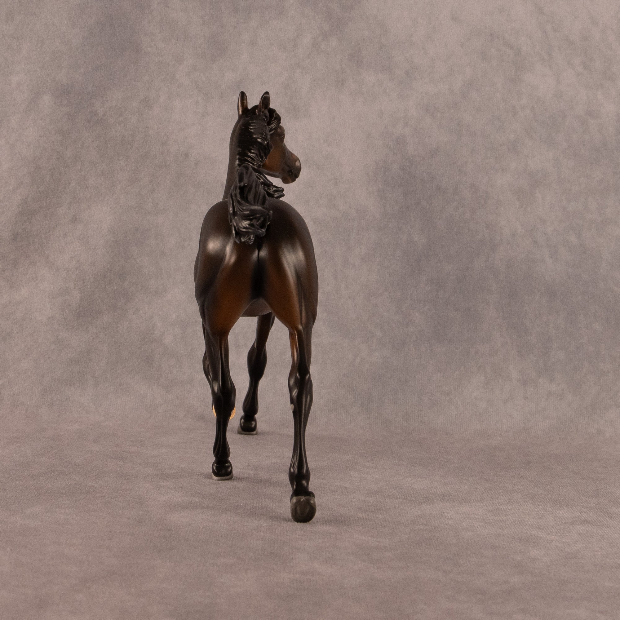 Midnight Tide OOAK FCM Arabian Yearling by Ashley Palmer EQ26