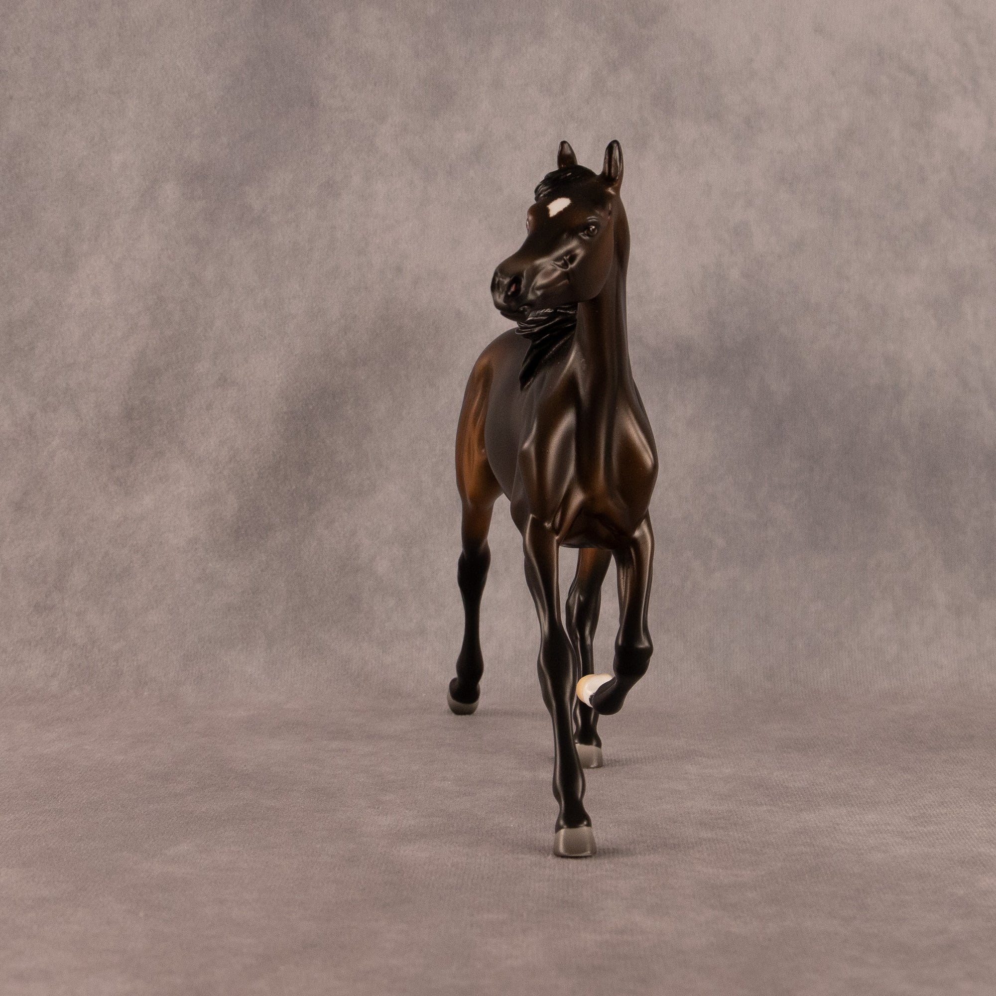 Midnight Tide OOAK FCM Arabian Yearling by Ashley Palmer EQ26