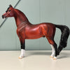 Therefore OOAK Dappled Bay Morgan By Ellen Robbins EQ24