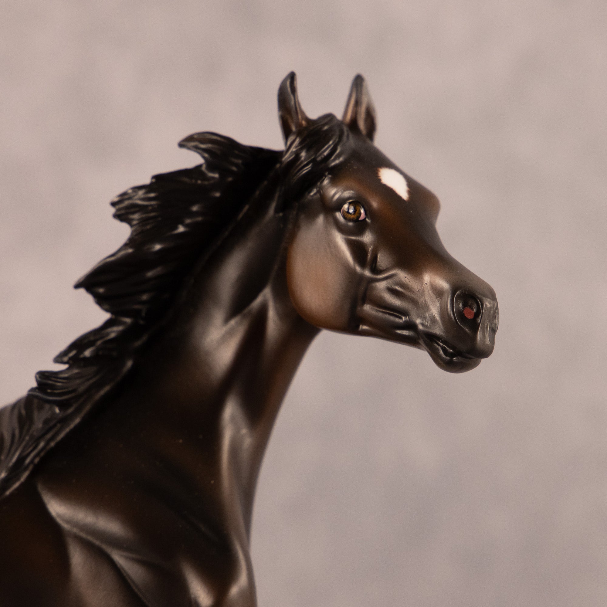 Midnight Tide OOAK FCM Arabian Yearling by Ashley Palmer EQ26