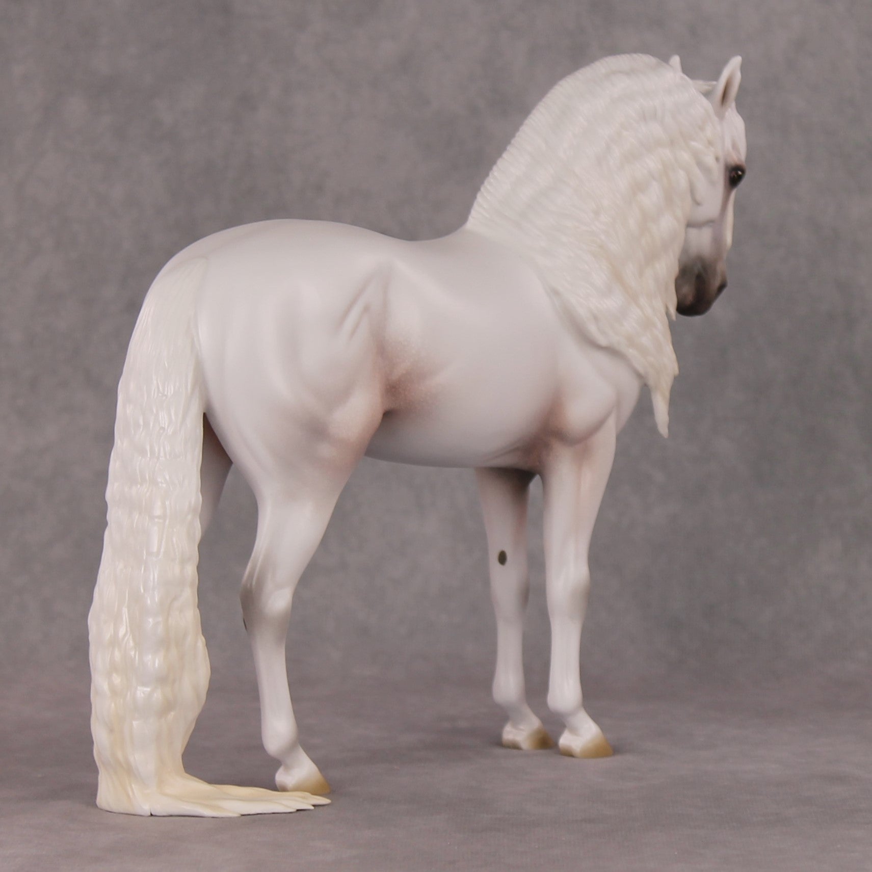 Timeless  OOAK Grey with Mottling Andalusian By Ashley Palmer HS24