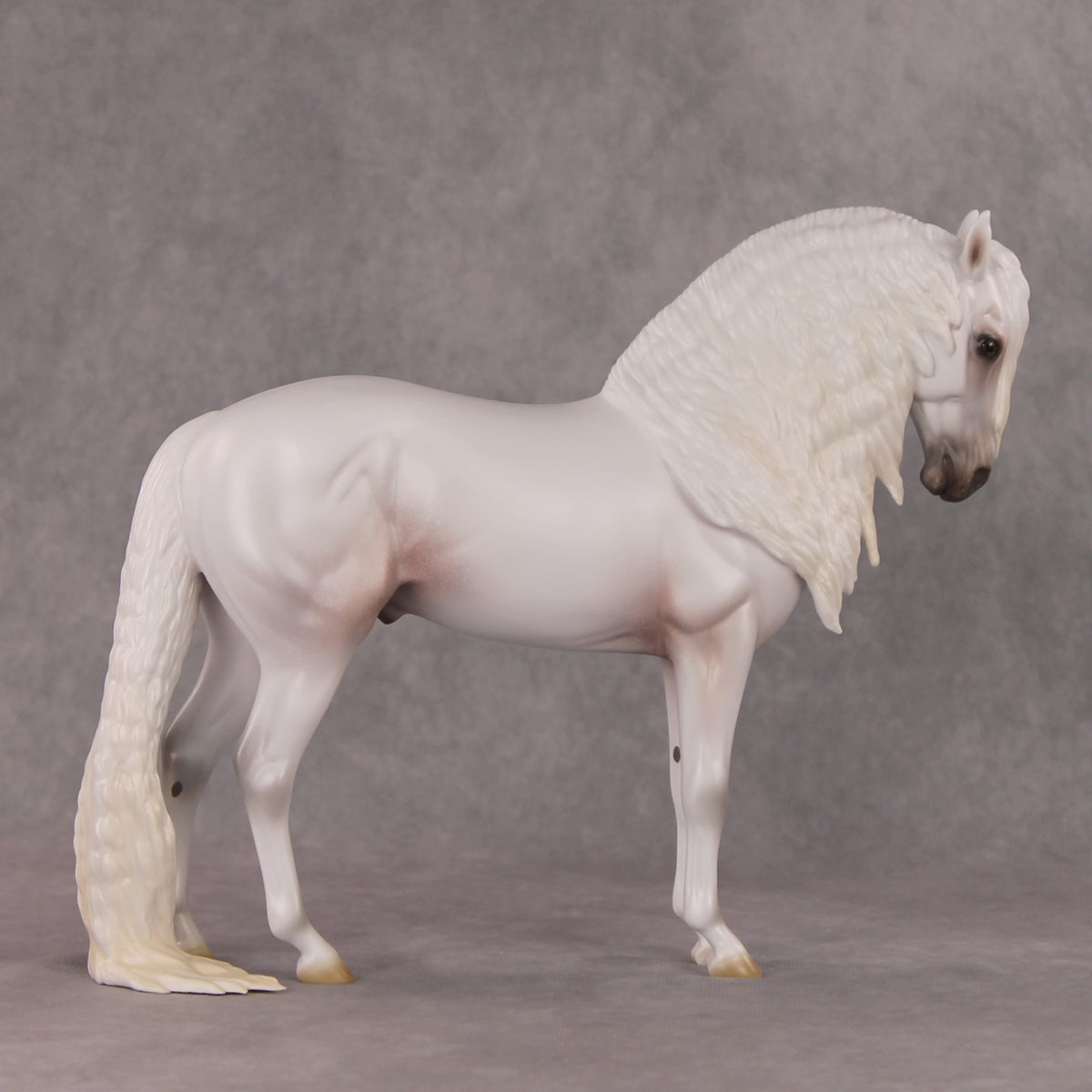 Timeless  OOAK Grey with Mottling Andalusian By Ashley Palmer HS24