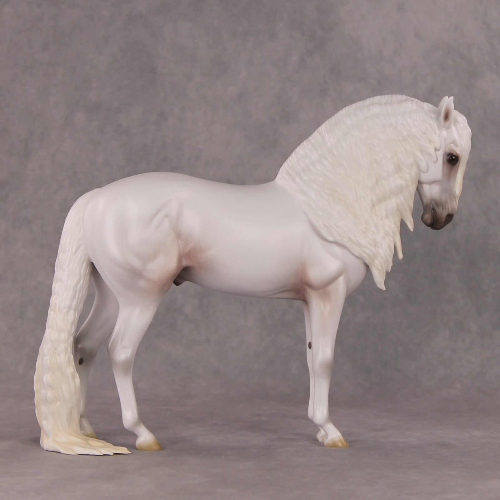 Timeless  OOAK Grey with Mottling Andalusian By Ashley Palmer HS24