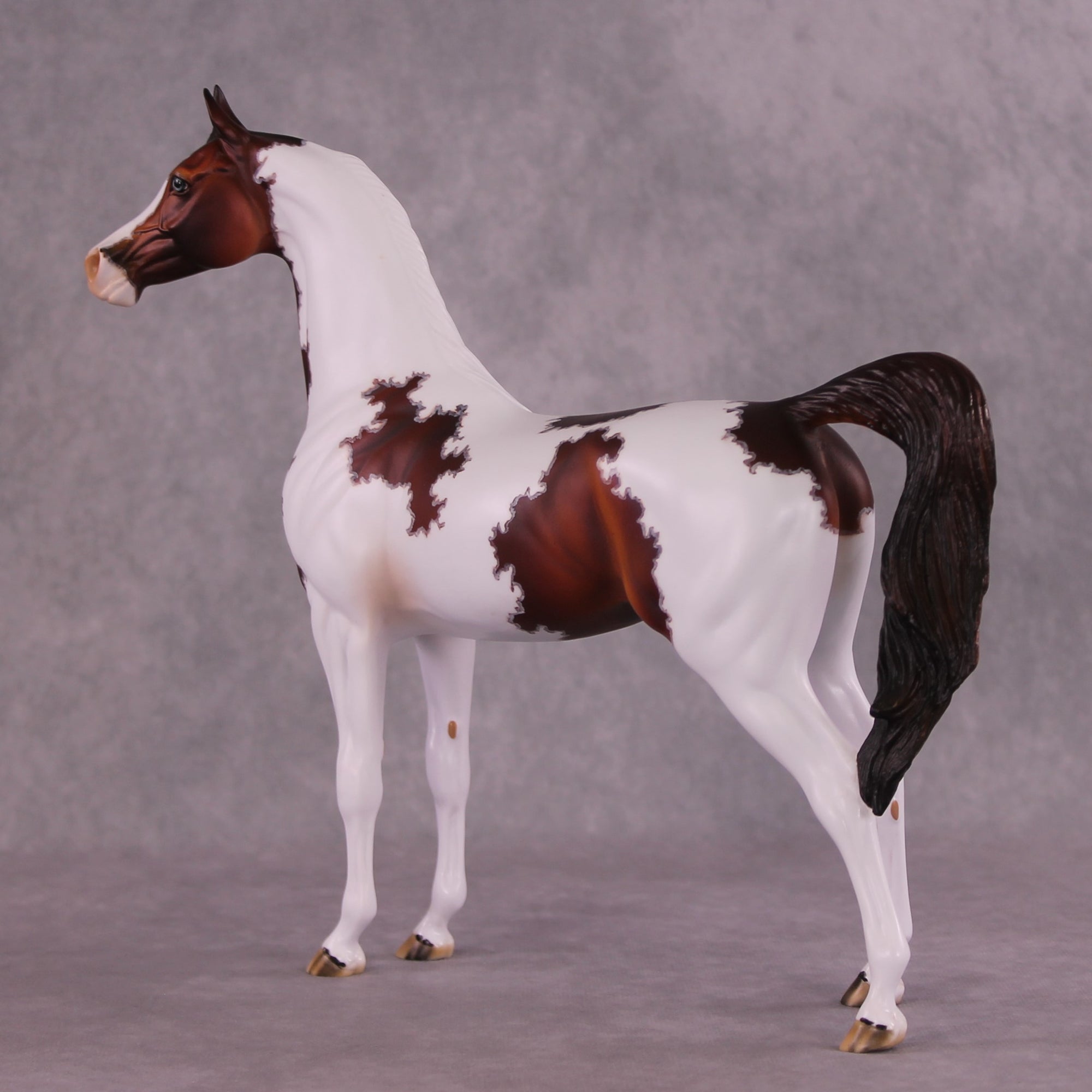"Currant" OOAK Arabian Stallion by Dawn Quick EQ25