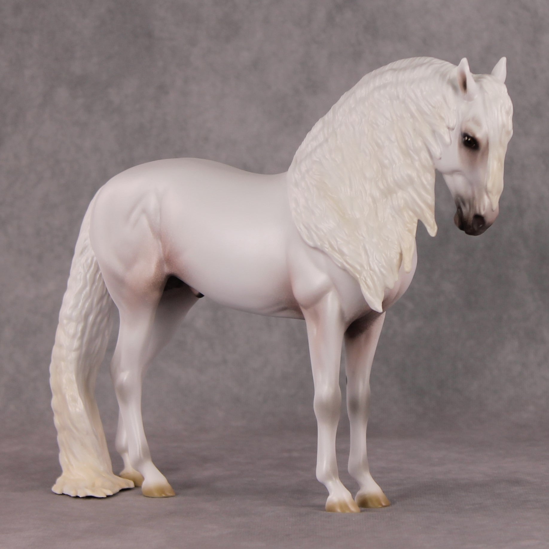 Timeless  OOAK Grey with Mottling Andalusian By Ashley Palmer HS24
