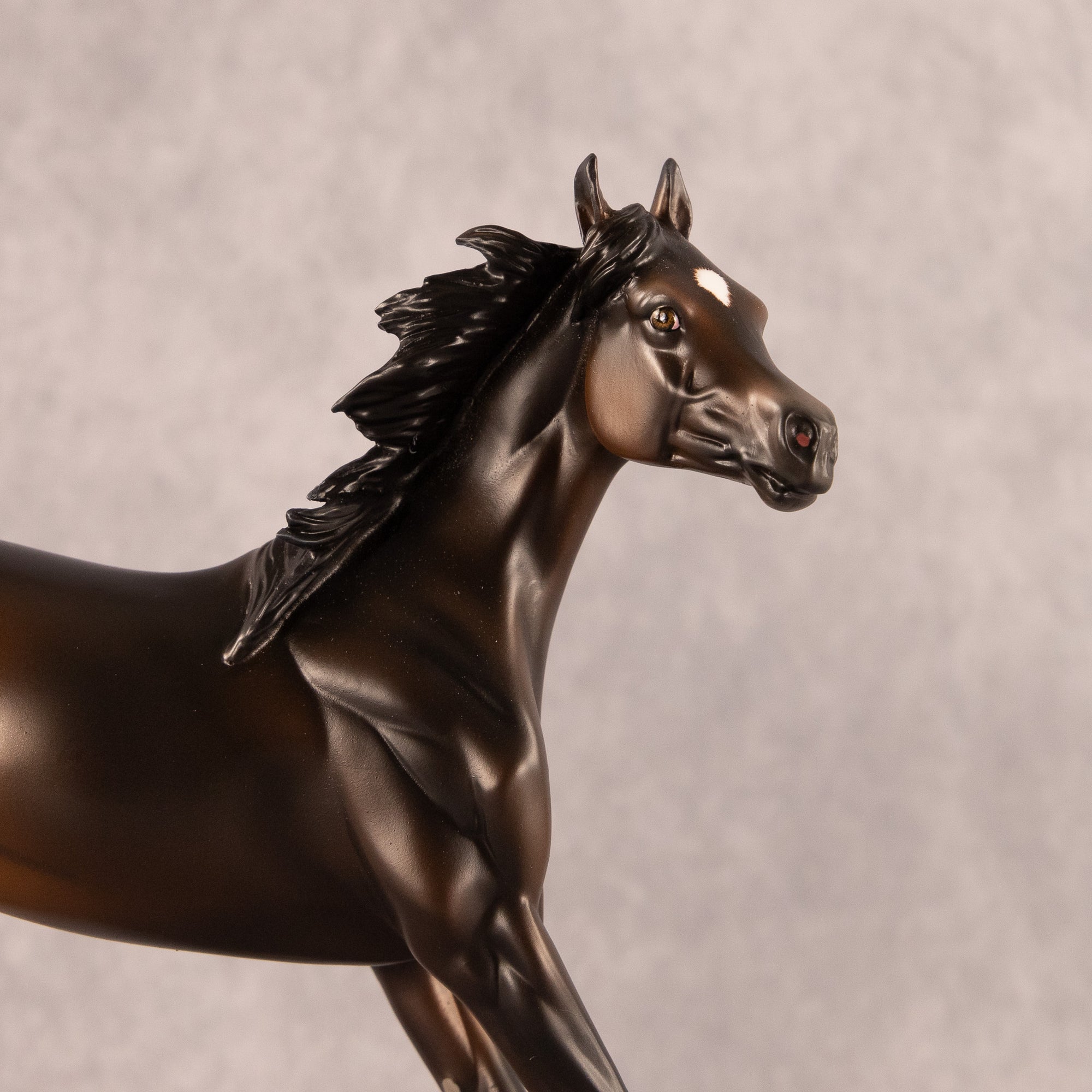 Midnight Tide OOAK FCM Arabian Yearling by Ashley Palmer EQ26