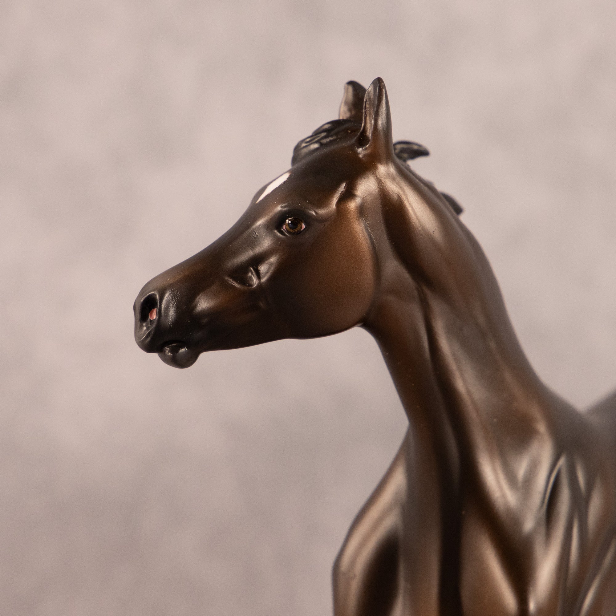 Midnight Tide OOAK FCM Arabian Yearling by Ashley Palmer EQ26