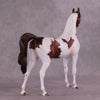 &quot;Currant&quot; OOAK Arabian Stallion by Dawn Quick EQ25