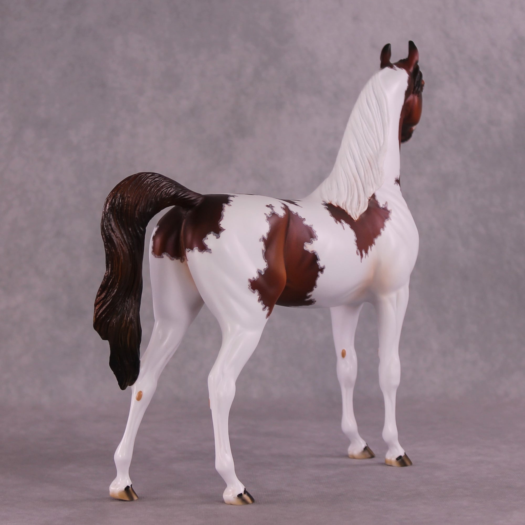 "Currant" OOAK Arabian Stallion by Dawn Quick EQ25